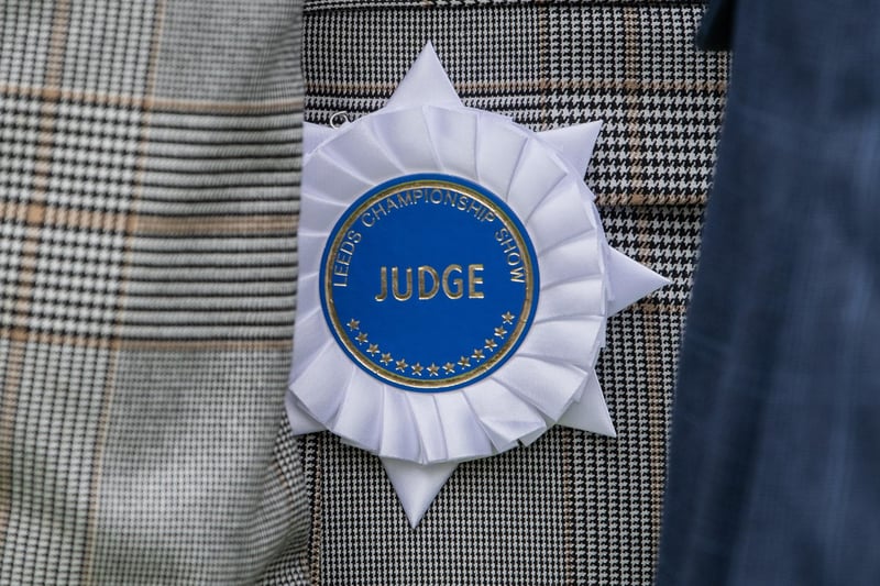 A judge's rosette at the dog show.
