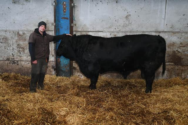 John Battye with an Aberdeen Angus bull. Picture Jonathan Gawthorpe