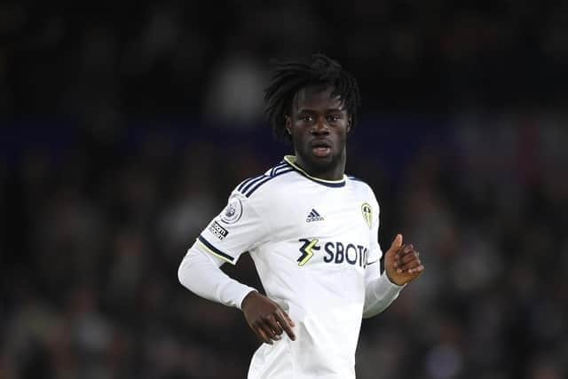 Leeds United's Darko Gyabi has joined Championship rivals Plymouth Argyle for a second spell on loan. Image: Stu Forster/Getty Images