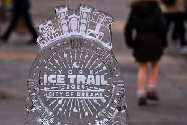 Thirty-three ice sculptures are in place around the city of York for The York Ice Trail.