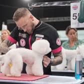 James Holberry, of Huddersfield, is a professional dog groomer.