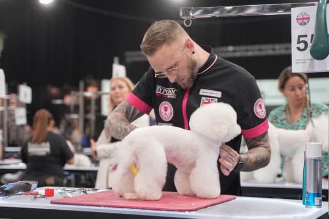 James Holberry, of Huddersfield, is a professional dog groomer.