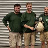 From the left, keepers Jason, Brendan, Khaled and Dan with the rescued pelican.