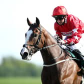 Saudi mission: Spirit Dancer, part-owned and bred by Sir Alex Ferguson and trained in Malton by Richard Fahey runs in the Howden Neom Turf Cup on Saturday in Riyadh - part of the Saudi Cup meeting. Picture: Tim Goode/PA Wire.
