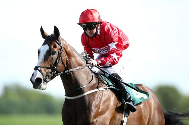 Saudi mission: Spirit Dancer, part-owned and bred by Sir Alex Ferguson and trained in Malton by Richard Fahey runs in the Howden Neom Turf Cup on Saturday in Riyadh - part of the Saudi Cup meeting. Picture: Tim Goode/PA Wire.