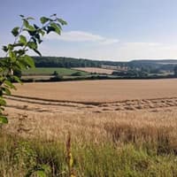 Campaigners thrilled by decision to refuse windfarm near David Hockney's famous Woldgate
