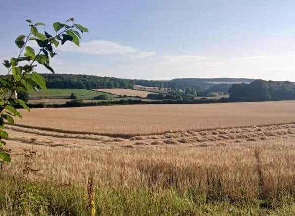 The view from Woldgate