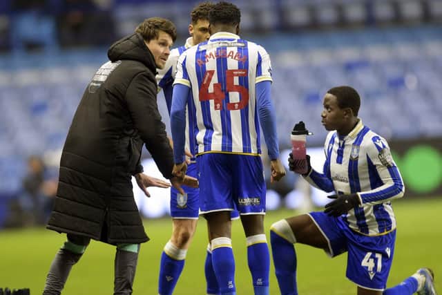 DIRECTION: Marvin Johnson says Danny Rohl (left) has made Championship survival "believable" for Sheffield Wednesday