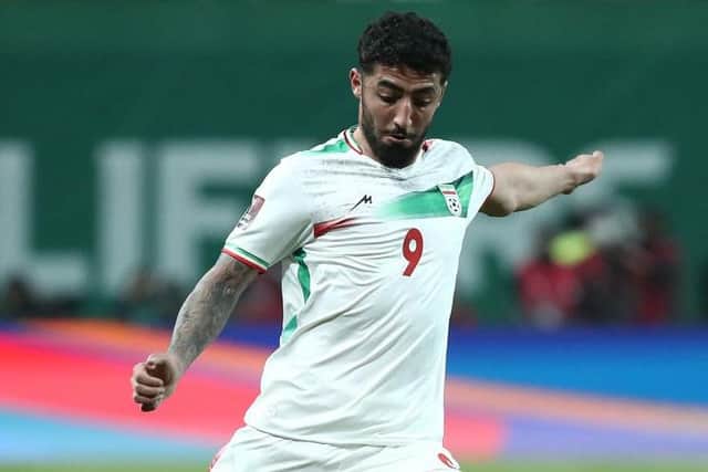 WORLD CUP HOPE: But Hull City's Iranian forward Allahyar Sayyadmanesh is recovering from a torn hamstring