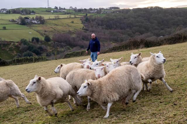 Richard Sykes, M&M Sykes, Slaithwaite, who delivers milk and keeps sheep.