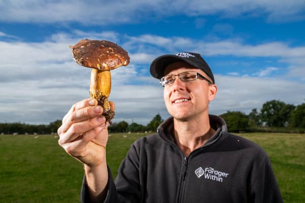 James Hill of Northallerton, owner of Yorkshire based company The Forager Within - who runs public and private foraging courses across Yorkshire and Manchester. Pictured  holding a Bay Bolete mushroom which he found locally. Picture: James Hardisty.