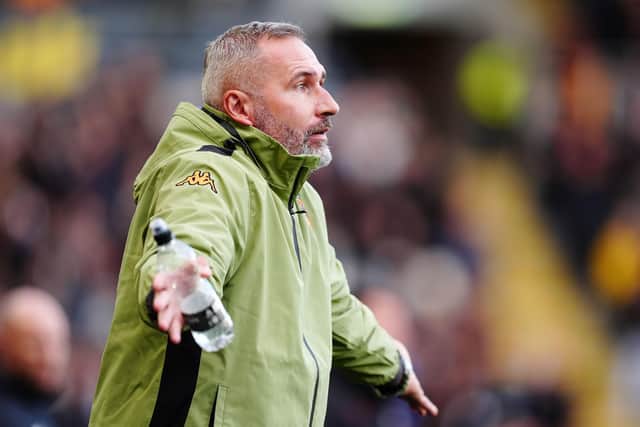 Hull City boss Tim Walter