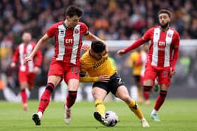 EXCELLENT: Anel Ahmedhodzic was on top form for Sheffield United against Wolverhampton Wanderers