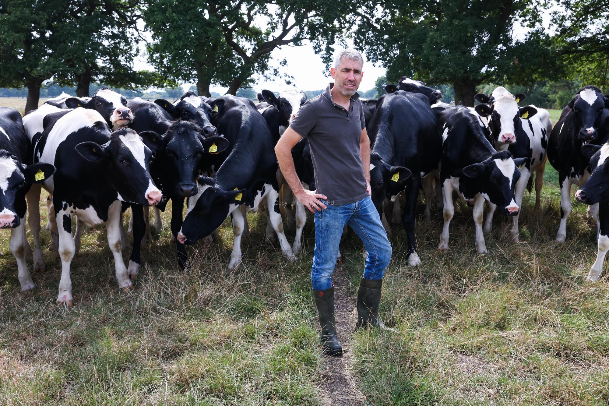 Call for support as farms face £83m summer dairy shortfall
