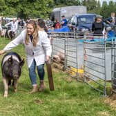 Millie Kirby, pig secretary for Tockwith Show, competing at Ryedale Show