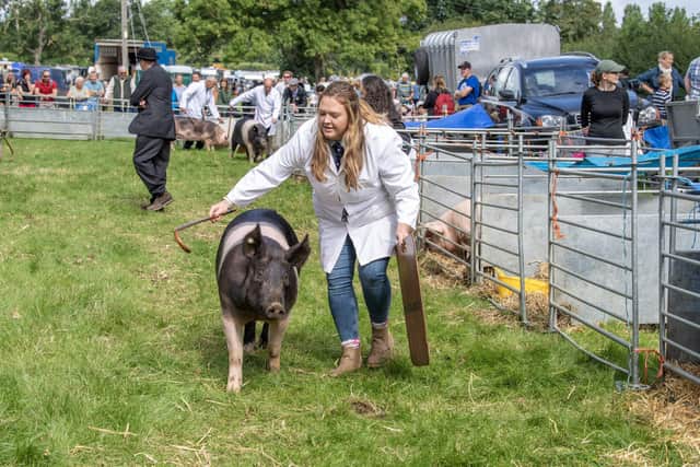 Millie Kirby, pig secretary for Tockwith Show, competing at Ryedale Show