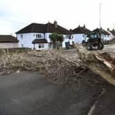 Storm Otto caused major disruption in Yorkshire on Friday (stock pic)