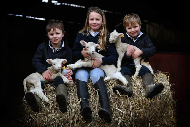 Jonty, Ottilie and Wills Riby with lambs.
e