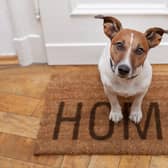The forthcoming new rules on tenancy agreements will ensure that more renters can have pets