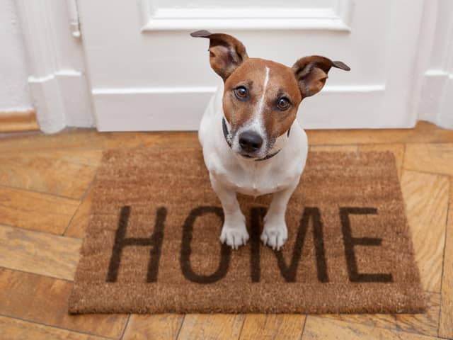 The forthcoming new rules on tenancy agreements will ensure that more renters can have pets