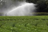 The Government is facing calls to up its preparations and responses for drought, particularly on farms.