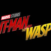 Only in the MCU do sequels regularly outrank their forerunners, with Ant-Man and the Wasp scoring 87%. Paul Rudd and Evangeline Lilly bring a lighter note to the MCU, while also paving the way for the Avengers to save half of the universe with their foray into the Quantum Realm.