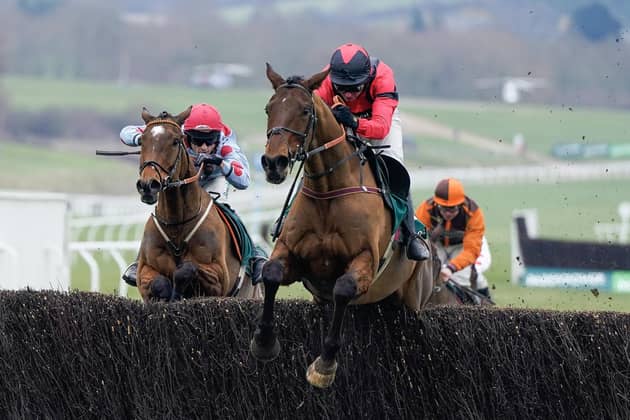 Heading back: Lucinda Russell's Ahoy Senor is due to start his season at Wetherby next Saturday - but trainer Lucinda Russell is pondering which race to run him in. (Photo by Alan Crowhurst/Getty Images)