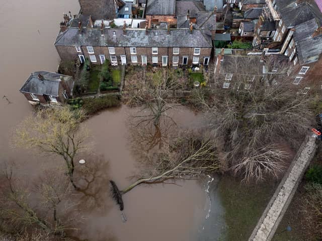 A fallen tree in flood water in York as Storm Isha thrashed down, preparing to make way for Storm Jocelyn.
Photo: Danny Lawson/PA Wire