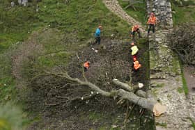 Work begins in the removal of the felled Sycamore Gap tree, on Hadrian's Wall in Northumberland. Picture date: Wednesday October 11, 2023. PA Photo. See PA story ENVIRONMENT SycamoreGap. Photo credit should read: Owen Humphreys/PA Wire