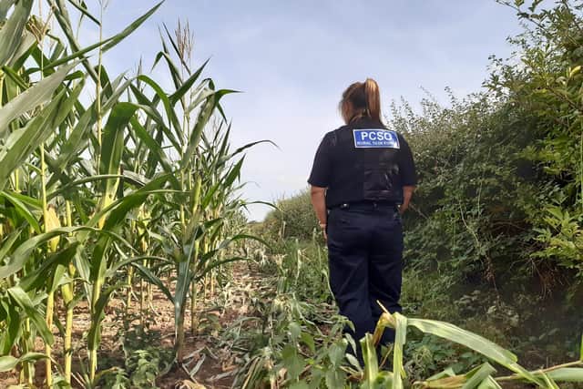 PCSO Sarah Harrod from the North Yorkshire Police Rural Task Force surveys damage to land caused by poachers earlier this week.