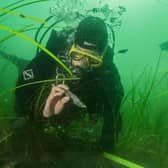 Yorkshire researchers are on the hunt for lost civilisations that lie under the waves in the North Sea and the Baltic
