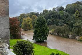 A photo issued by National Trust of submerged trees following Storm Babet in October. PIC: National Trust/PA Wire