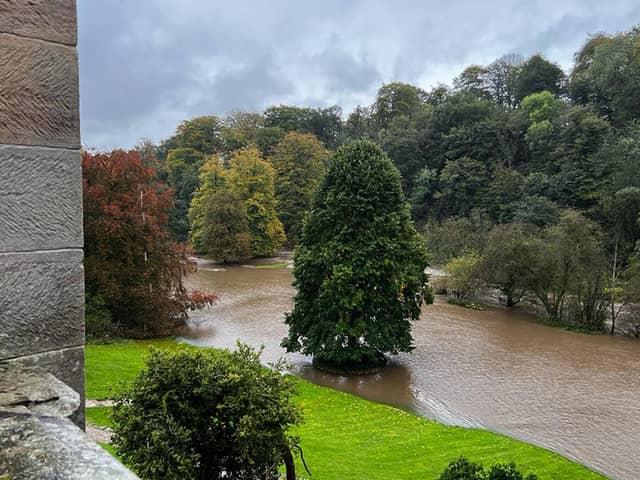 A photo issued by National Trust of submerged trees following Storm Babet in October. PIC: National Trust/PA Wire
