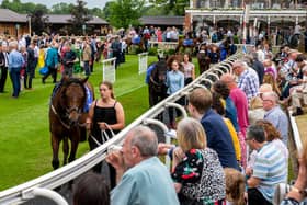 Sky Bet Stakes at York Racecourse in June