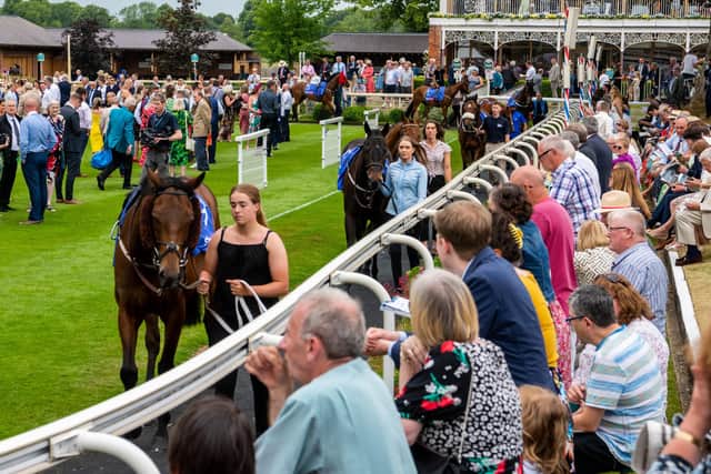 Sky Bet Stakes at York Racecourse in June