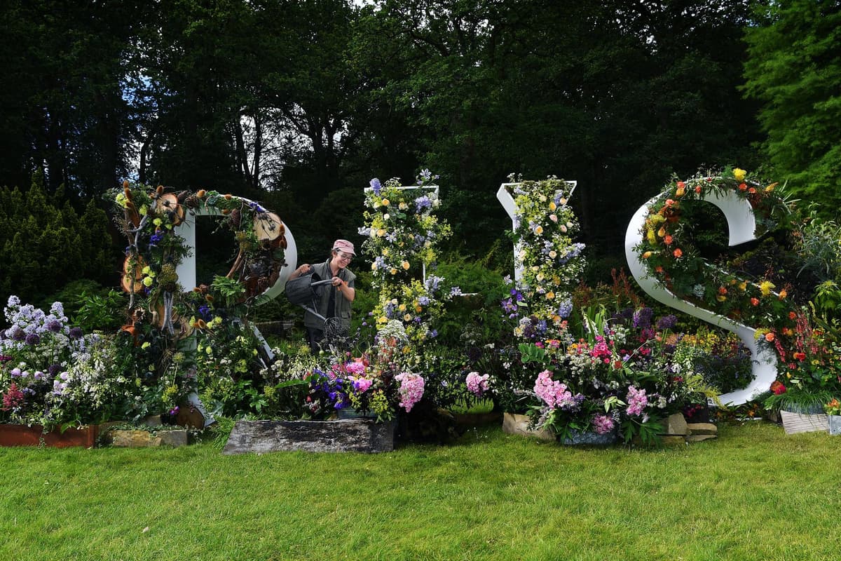 Bettys Harlow Carr: Das Café und Teehaus in Yorkshire schließt für einen ...