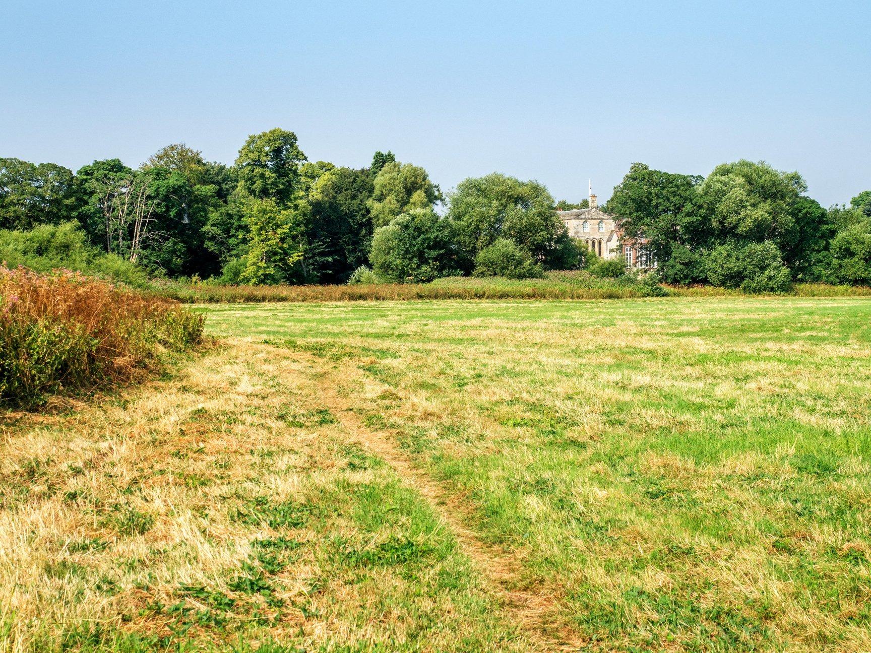Protection for wildlife extended at Fulford Ings nature haven