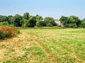 The conservation project at Fulford Ings nature reserve beside the River Ouse is being expanded.
