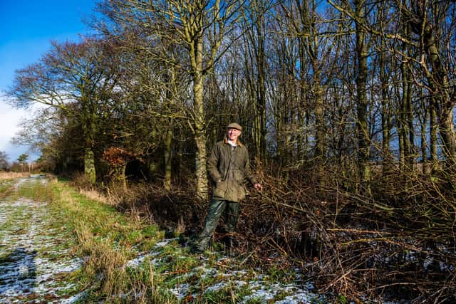 Farmer Tim Sellers, near a small wood with managed hedgerows on the edge of one of their fields to help encourage wildlife.