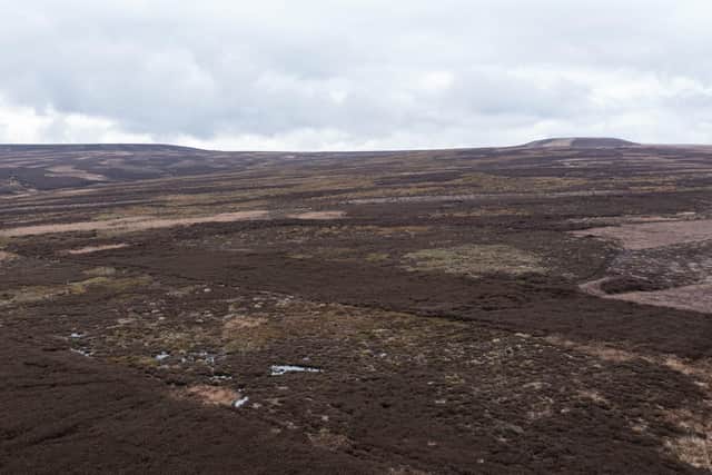 A drone image of peatland in Yorkshire.