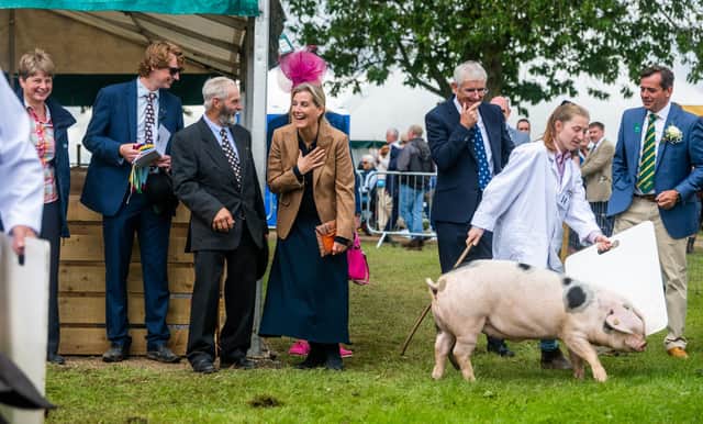 The Duchess of Edinburgh, president of Driffield Agricultural Society, watching one of the pig classes