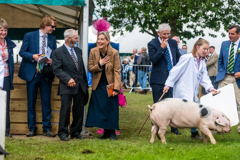 The Duchess of Edinburgh, president of Driffield Agricultural Society, watching one of the pig classes