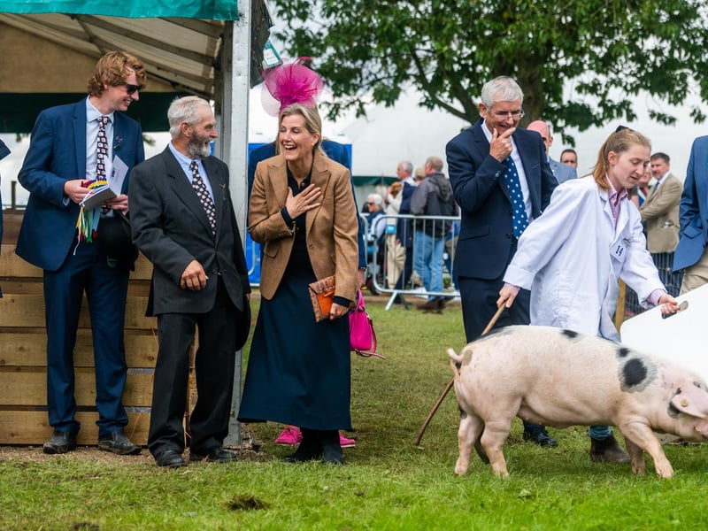 The Duchess of Edinburgh, president of Driffield Agricultural Society, watching one of the pig classes