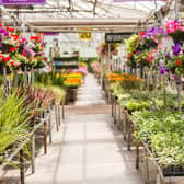 This is when garden centres will be opening across England (Photo: Shutterstock)