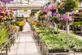 This is when garden centres will be opening across England (Photo: Shutterstock)