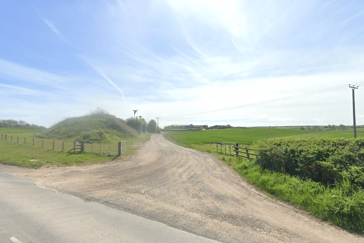 New dog walking park set to be created on farm in Yorkshire village