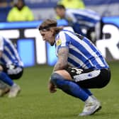 FRUSTRATION: Sheffield Wednesday's players show their frustration after their 1-1 draw against Lincoln City at Hillsborough on Saturday. 
Picture: Steve Ellis