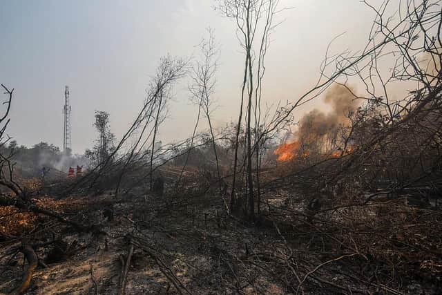 Flames reignite and burn through a scorched deep peatland area in Gambut district, Banjar regency, South Kalimantan province, on October 8, 2026, as firefighters remain on high alert as subterranean peat fires continue to flare up amid unstable conditions during the dry season. (Photo by MUDA SAGALA / AFP via Getty Images)