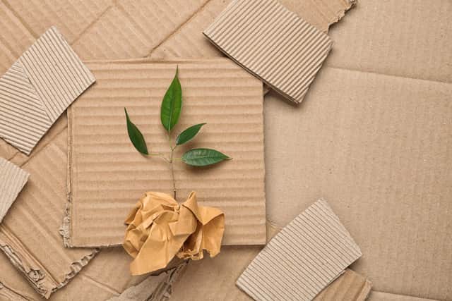 Sustainable choices for business can start with a simple move from plastic to paper packaging. Picture – Adobe.