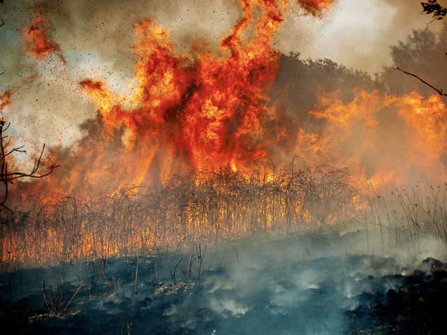 Firefighters struggled to control a wildfire which broke out on Sheffield's Manor Fields Park on August 13, 2026